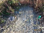 気仙沼市の売土地の潮見町22売土地の画像5